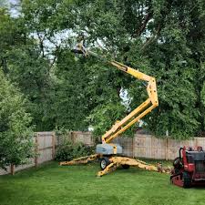 Best Hazardous Tree Removal  in Prattville, AL